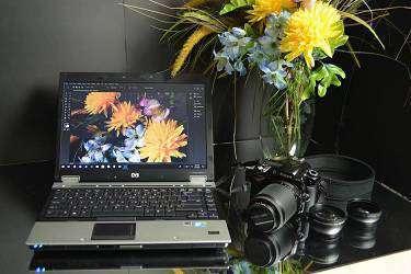 拼多多个人店铺能转吗，拼多多个人店铺转让条件有哪些