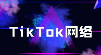 TikTok登录不了怎么解决，TikTok登录访问太频繁怎么解决