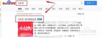 小红书商家管理平台怎么注册，小红书商家管理平台有什么用