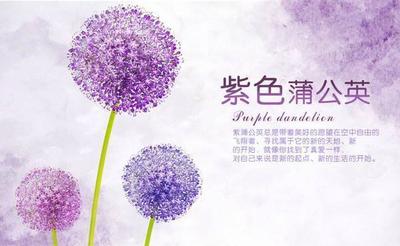 小红书电商怎么入驻，小红书电商怎么做