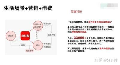 小红书商家入驻流程及费用，小红书商家入驻保证金多少钱