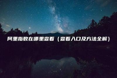 阿里巴巴指数在哪里能看到，阿里巴巴指数怎么查