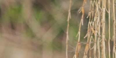 淘宝店铺关闭了怎么找到卖家，淘宝店铺关闭多久后再开算新开店铺