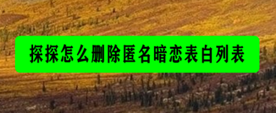 探探匿名暗恋表白后能取消吗 探探匿名暗恋表白怎么删除撤回
