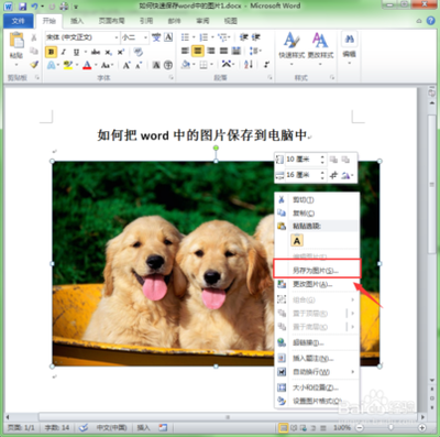 word文档中的图片怎么保存两步快速保存word图片