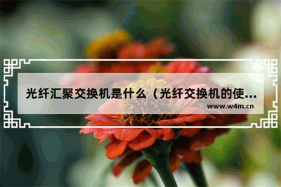 光纤汇聚交换机是什么？光纤交换机的使用方法及应用方案详解