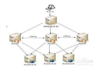 怎么合理设置dns网速快