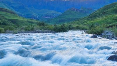 B站小黑屋被封号能出来吗