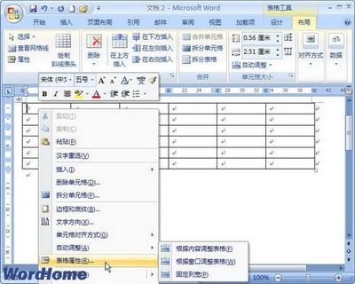 Word 2007表格属性介绍