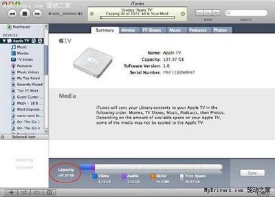 苹果Mac不能打开视频怎么办