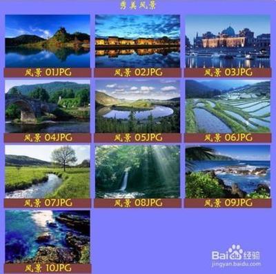 windows10系统下xnview如何创建联系表？