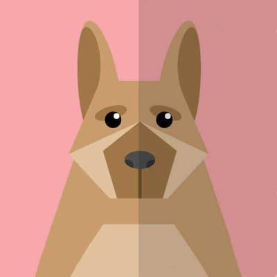 微信公众平台可以进行哪些自媒体活动?