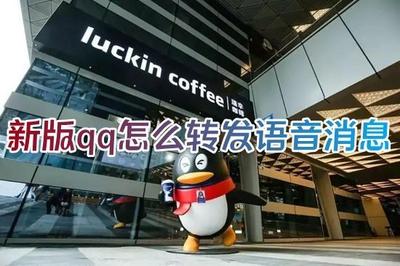 QQ语音消息怎么转发 QQ语音消息怎么转发