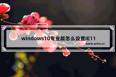 Win10系统IE11兼容性的具体设置方法