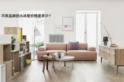 小冰柜图片及价格,小冰柜什么牌子好? 小冰柜图片及价格,小冰柜什么牌子好?
