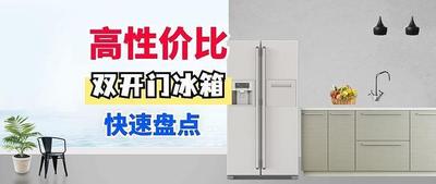 双开冰箱哪个品牌好?8款性价比超高的对开门冰箱 双开冰箱哪个品牌好?8款性价比超高的对开门冰箱