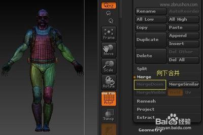 ZBrush如何利用分组Dynamesh对所有模型进行重建细分