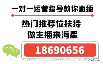 酷狗繁星守护主播有多少提成