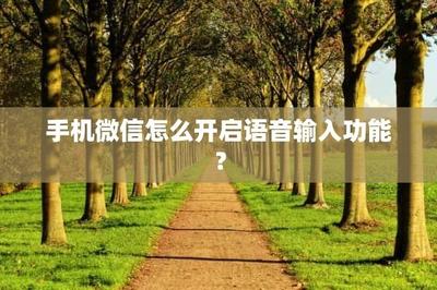 微信app聊天怎么用语言输入?