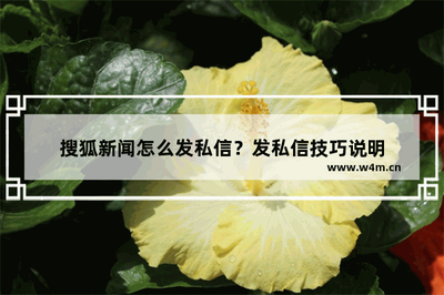 搜狐新闻怎么私信-搜狐新闻快速发送私信的方法