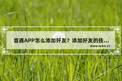 音遇怎么加好友-音遇加好友操作教程