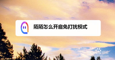 陌陌app免打扰模式在哪里? 陌陌设置免打扰的教程
