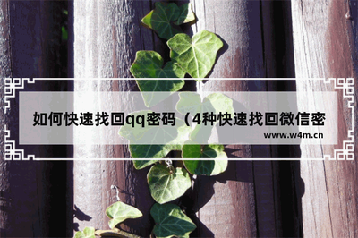 如何快速找回qq密码？4种快速找回微信密码的方法