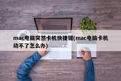 苹果电脑死机怎么办按什么键？mac卡死的正确处理步骤