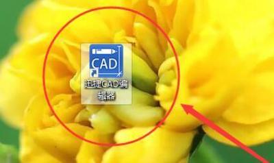 迅捷cad编辑器怎么旋转图纸角度?