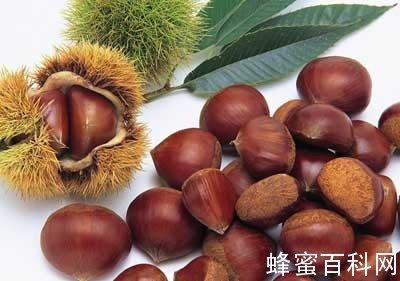 板栗不能与6种食物一起吃?揭秘哪些食物与板栗搭配不宜 板栗不能与6种食物一起吃?揭秘哪些食物与板栗搭配不宜