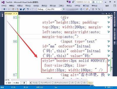 VisualStudio网页怎么插入验证码标签?