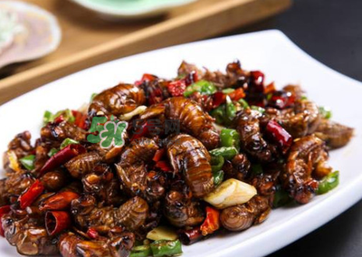 八月份还有知了猴吗？知了几月份就没有了？