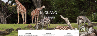 钉钉异地怎么打卡签到? 钉钉app外出考勤的打卡方法