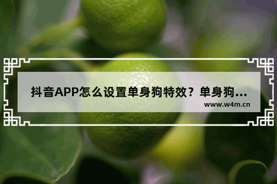 抖音短视频app怎么给视频添加神烦狗特效? 抖音短视频app怎么给视频添加神烦狗特效?
