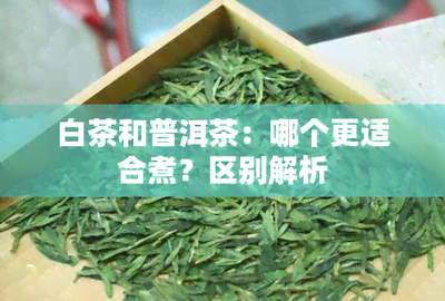 老白茶是发酵茶吗 老白茶和普洱哪个好 老白茶是发酵茶吗 老白茶和普洱哪个好