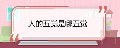 五觉指的是什么？探索五觉的具体含义和作用