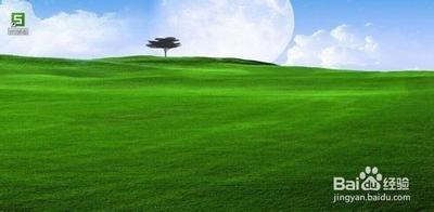 excel2013表格中怎么制作项目跟踪器?