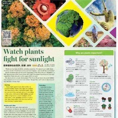 ‘植物’用英语怎么说? ‘植物’用英语怎么说?