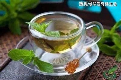三伏天可以喝凉茶吗_三伏天喝什么茶_三伏天喝茶好吗