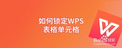 wps表格怎么锁定? wps表格锁定单元格的教程