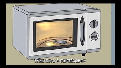 铁盆可以放微波炉吗 加热食物必须用专用碗