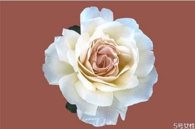 男生喜欢玩暧昧是因为什么 有女朋友还撩妹是渣男