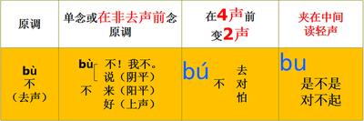 &lsquo;不对&rsquo;的拼音是二声还是四声？正确读音解析