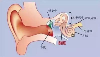 坐车晕车的人开车会晕吗？晕车的人开车会不会晕车