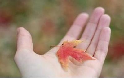 小确幸是什么意思？解析&lsquo;小确幸&rsquo;的含义与用法