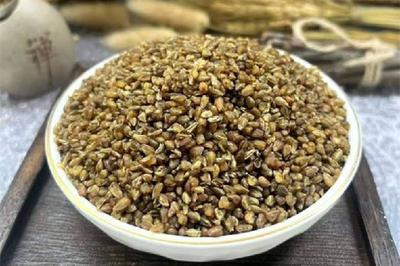 苦荞茶会解药性吗 苦荞茶不适合什么人喝