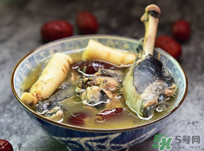 三伏天可以吃人参吗？三伏天吃人参好吗？