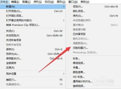premiere怎么给视频中的对象添加圆形效果?