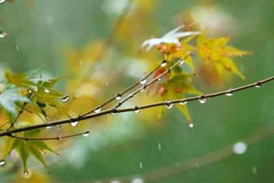 入眼的是风景，入心的是人生，解析这句话的深刻含义
