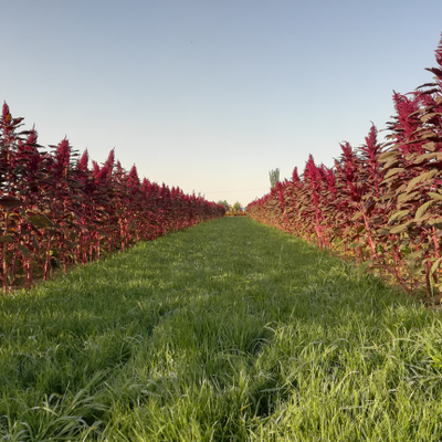 好东西分享的金句有哪些？